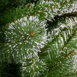 Outlet 6 ft. Snowy Sierra Spruce Tree Full|Unlit