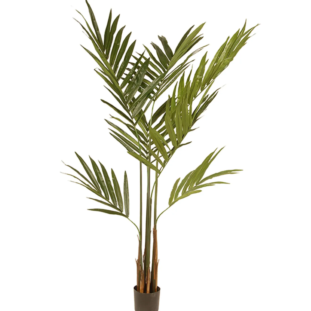 New 4 ft. Spring Kentia Palm Potted Tree with Leaves, Simulated Soil in a Black Pot Potted Plants