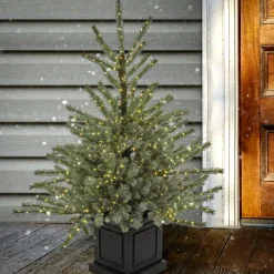 Clearance 4 ft.Pre-Lit Aberdeen Blue Spruce Tree Slim|Pre-Lit