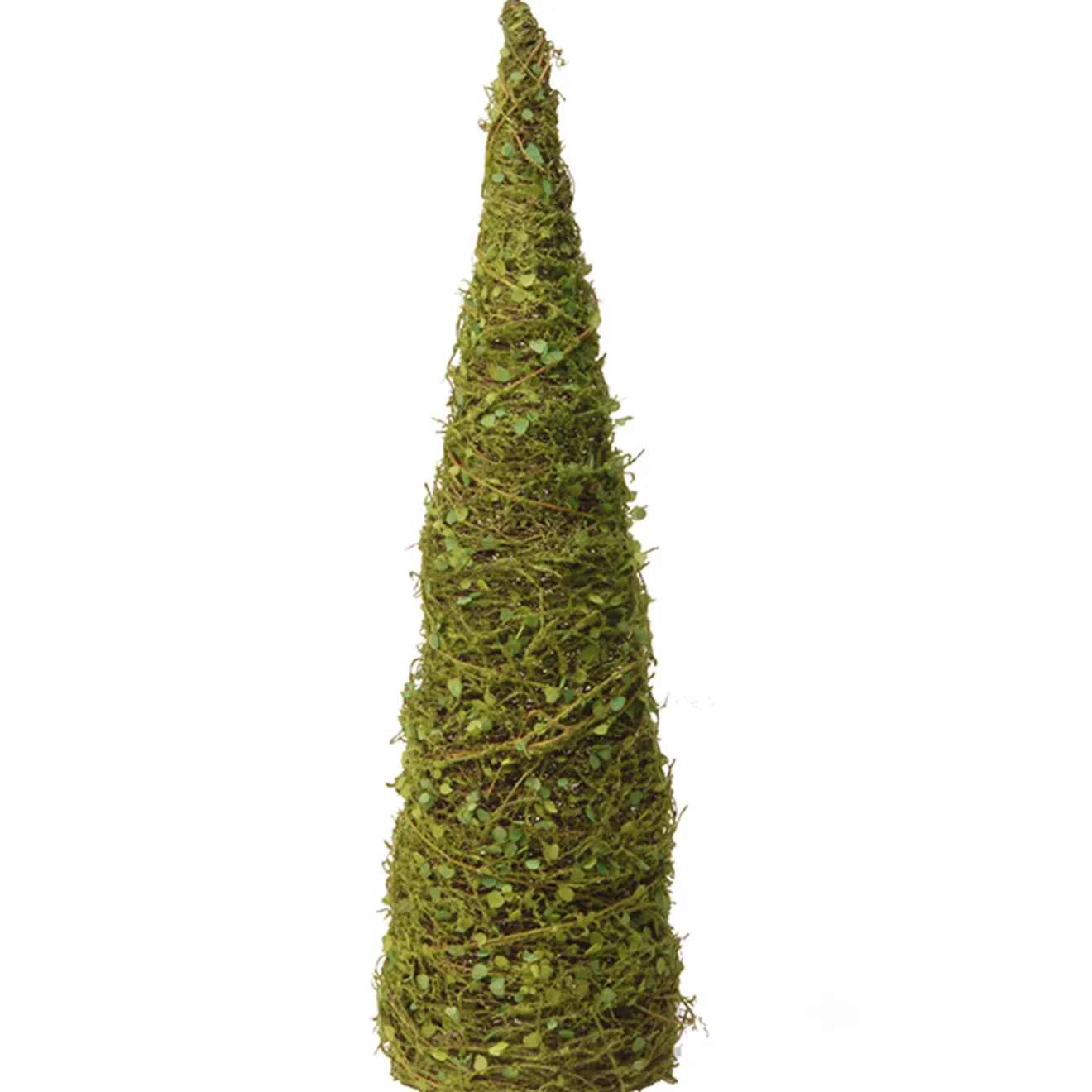 Clearance 24" Garden Accents Cone Tree Topiaries & Shrubs