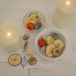 Best 6 in. 250 Gram Mixed Potpourri- Sliced Apples and White Washed Cones Decorative Accents
