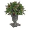 Hot 24 in. Crestwood Spruce Porch Bush with Twinkly LED Lights Topiaries Arrangements
