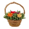 New 10 in. Handcrafted Multicolor Floral Basket Potted Plants