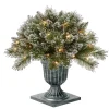 Hot 24 in. Pre-Lit Glittery Bristle Pine Porch Bush with Twinkly LED Lights Topiaries Arrangements