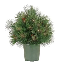 Online 26 in. Pre-Lit HGTV Home Collection Black Tie Planter Filler Topiaries Arrangements