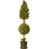 Best 72 in. Pre-Lit Juniper Cone and Ball Topiary Tree in a Black Square Pot with Clear Lights Topiaries & Shrubs