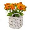 Online 10 in. Spring Orange Anemone Flower Bouquet in White Basket Flower Arrangements