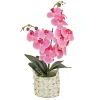 Hot 21 in. Spring Pink Orchid in White Basket Potted Plants