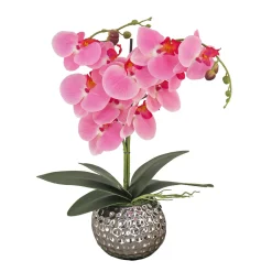 Discount 21 in. Spring Pink Orchid in Silver Smooth Ceramic Pot Potted Plants