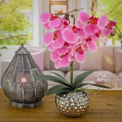 Discount 21 in. Spring Pink Orchid in Silver Smooth Ceramic Pot Potted Plants