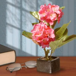 Clearance 10 in. Spring Potted Pink Hydrangeas Flower Pot with Leafy Greens Potted Plants