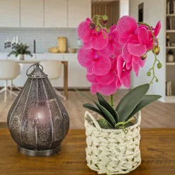 New 21 in. Spring Purple Orchid in White Basket Potted Plants