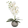 Clearance 21 in. Spring White Orchid in Silver Smooth Ceramic Pot Potted Plants