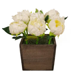 Online 10 in. Spring White Peony Flowers in Wood Box Potted Plants