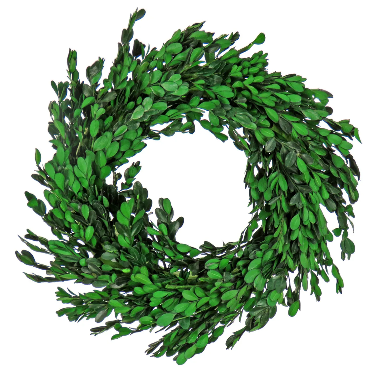 Best 18 in. Spring Wreath with Boxwood Flowers, Flowing Green Stems Wreaths