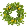 Discount 22 in. Spring Wreath with Lemons, Flower Blooms, Leafy Greens Wreaths