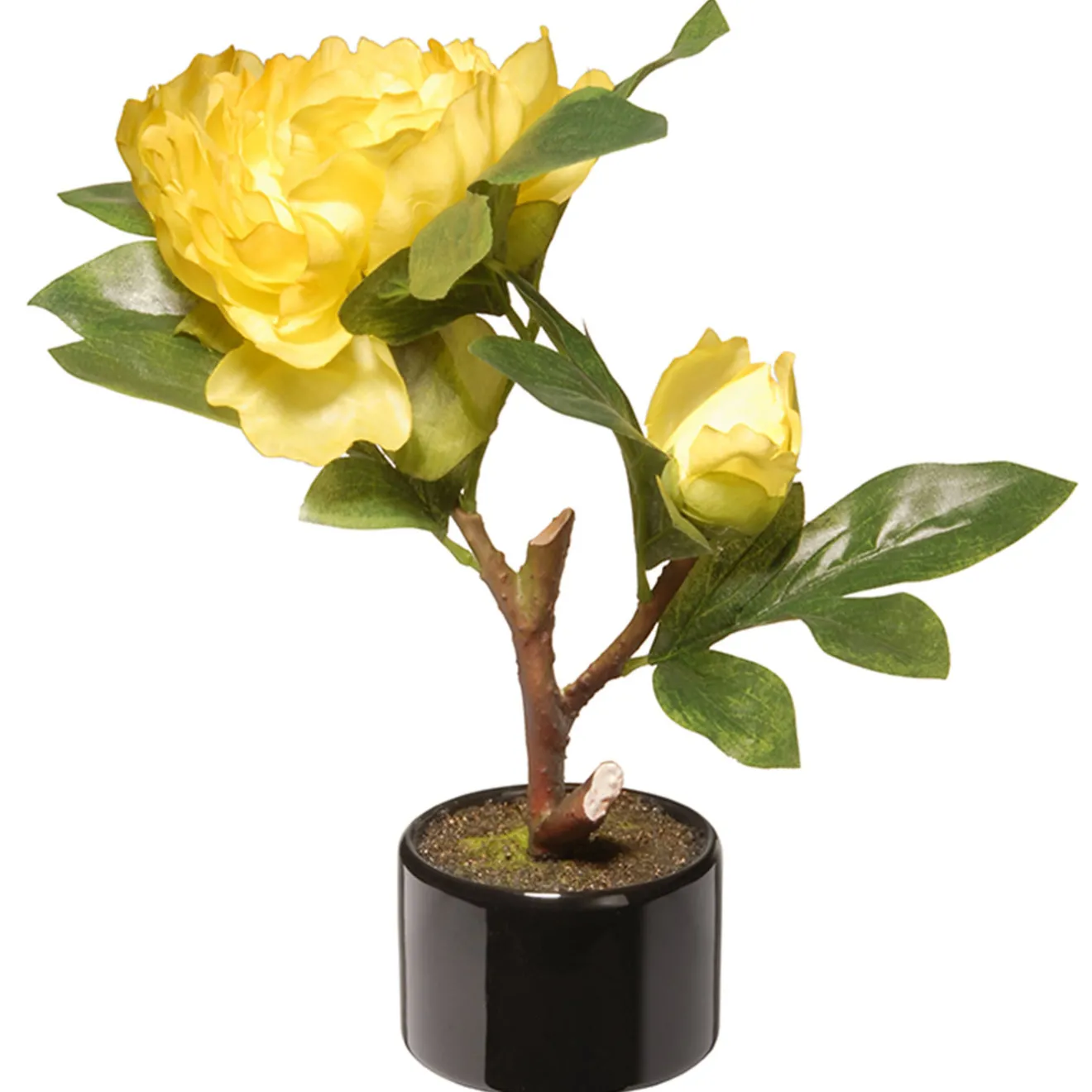 Outlet 10 in. Spring Yellow Peony Flower Pot Potted Plants