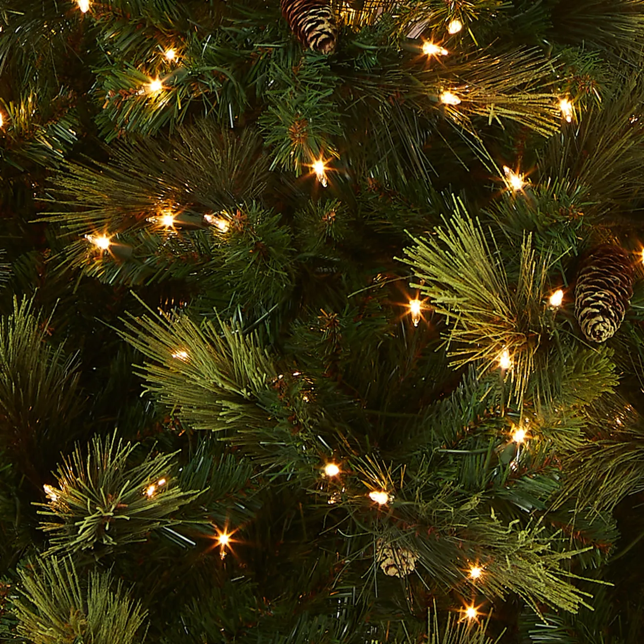 Outlet 9ft. Pre-Lit Carolina Pine Tree with Clear Lights with 900 Clear Lights Full|Pre-Lit