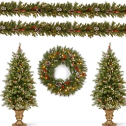 Online Pre-Lit Frosted Berry Assortment with 2 Entrance Trees, 1 Wreath, 2 Garland Assortment Bundles
