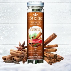 New Scented Ornaments, 2-Pack- 6ct Bottle, 2 Dashes of Cinnamon, Fragrance-Infused Paper Sticks Scentsicles