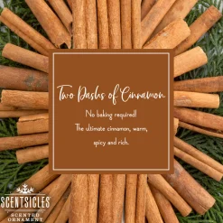 New Scented Ornaments, 2-Pack- 6ct Bottle, 2 Dashes of Cinnamon, Fragrance-Infused Paper Sticks Scentsicles