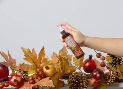 Clearance Scentsicles 6pc Stick and Spray Spiced Pine Cones - 2 Pack Scentsicles