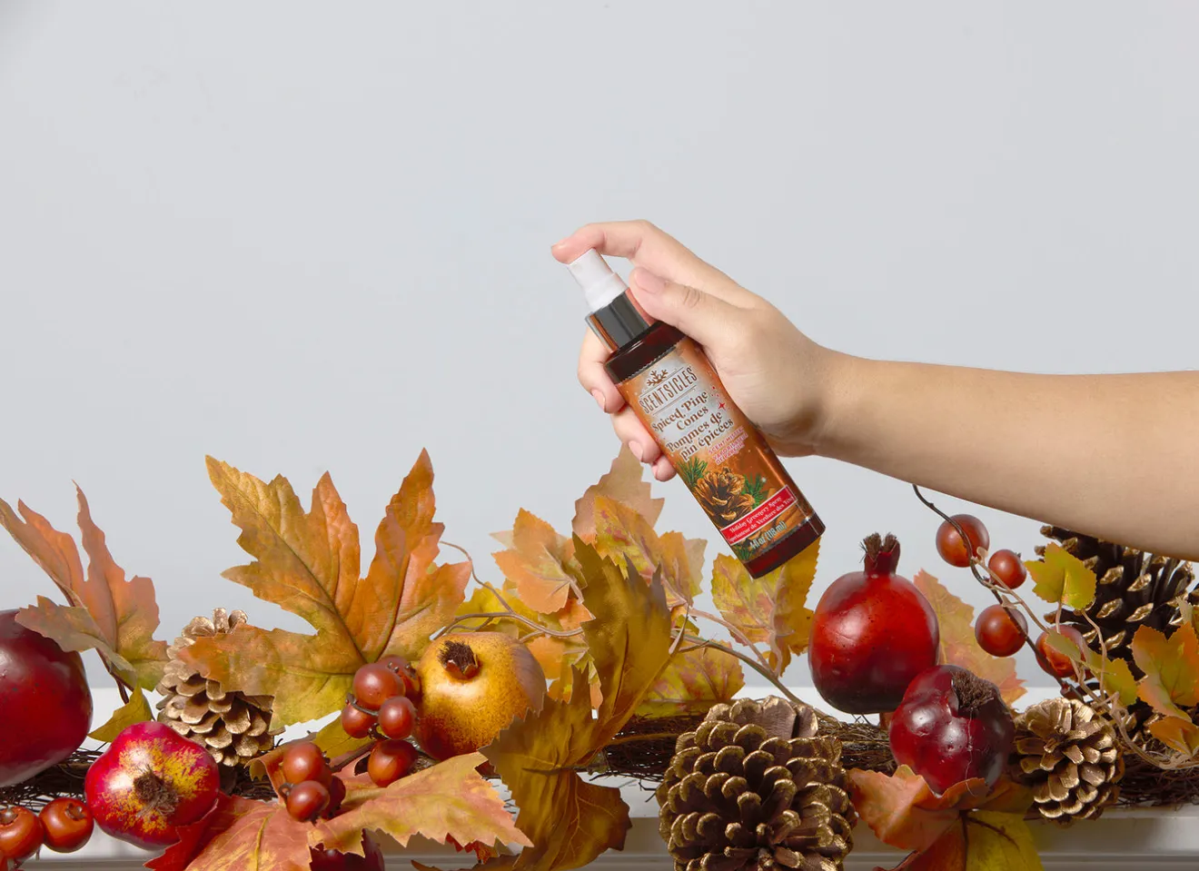 Clearance Scentsicles 6pc Stick and Spray Spiced Pine Cones - 2 Pack Scentsicles