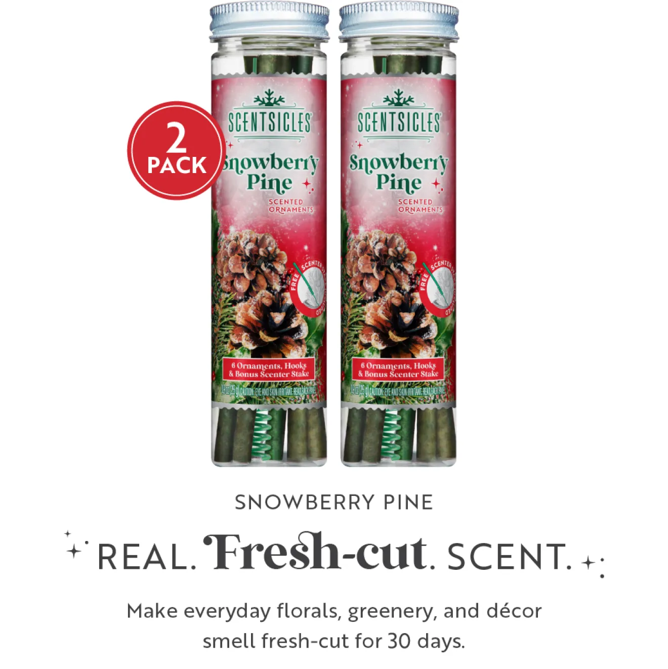 Outlet Scentsicles, 6pc Stick, Snowberry Pine - 2 Pack Scentsicles