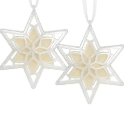 Best Scentsicles, Scented Star Ornament, White Winter Fir, 2-Pack Scentsicles