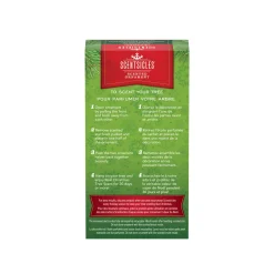 Best Scentsicles, Scented Star Ornament, White Winter Fir, 2-Pack Scentsicles