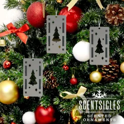Best Scentsicles Trio Ornament Set of 3 and White Winter Fir Bottle of 6 Sticks Scentsicles