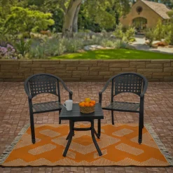 New 4x6 ft. Papaya Hand Woven Outdoor Rug Outdoor Rugs